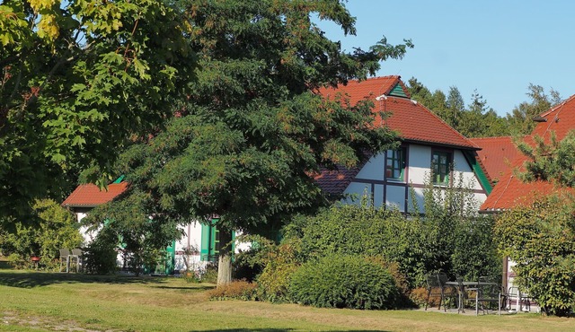 Wohnung in Dranske mit Garten