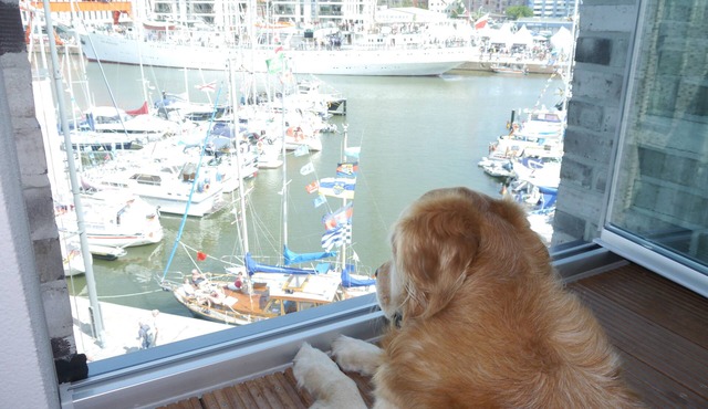 Wonderful views, wonderful and direct waterfront location in the middle of the Havenwelten!