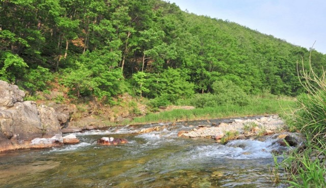 Yangyang Pool&valley Camping Place