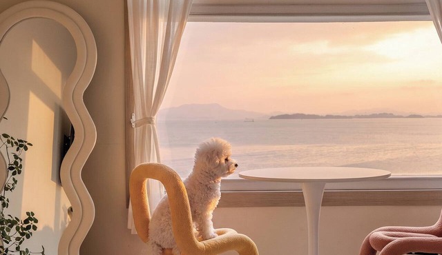Yeosu Canada meo Village pet Pension