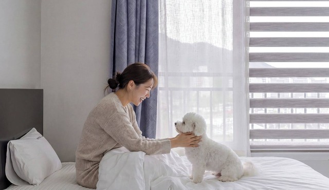 Yeosu Jin Arirang Hostel Pension
