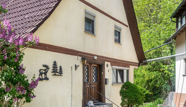 Zur Lauramühle Holiday Apartment