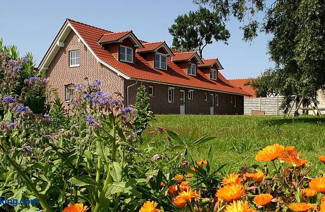 Ferienhaus Lobbe Apt 