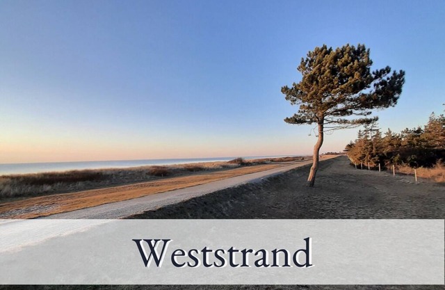 Vacation apartment/apartment for 4 guests with 64m² in Fehmarn OT Sulsdorf (76845)