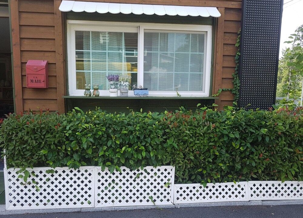 Photo of Buildings in Yongnam-myeon