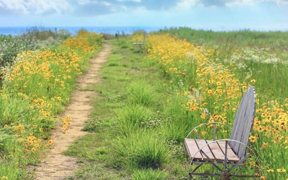 Photo of Outdoor in Sanha-ri
