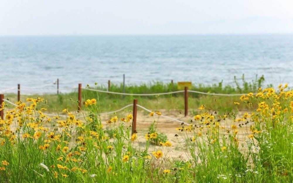Photo of Outdoor in Sanha-ri