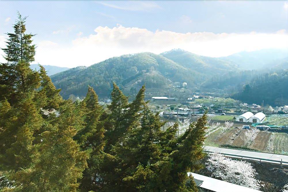 Photo of Others in Yangpyeong
