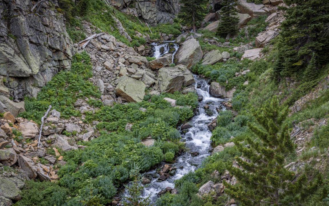 Photo of Others in Estes Park