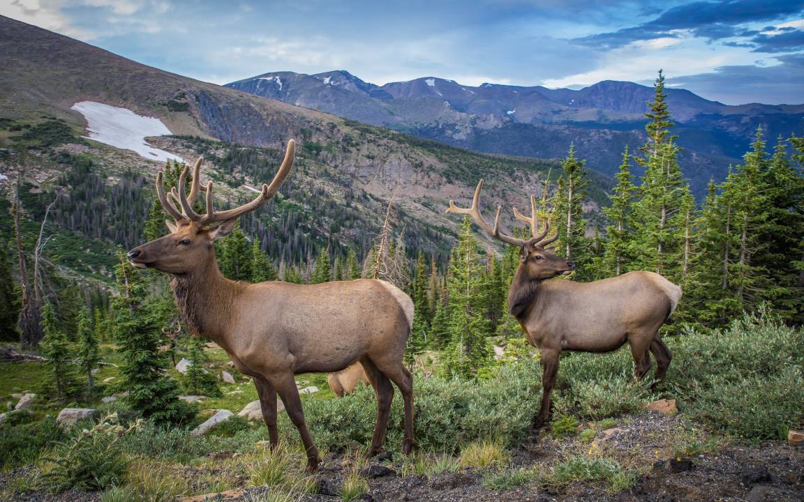 Photo of Others in Estes Park