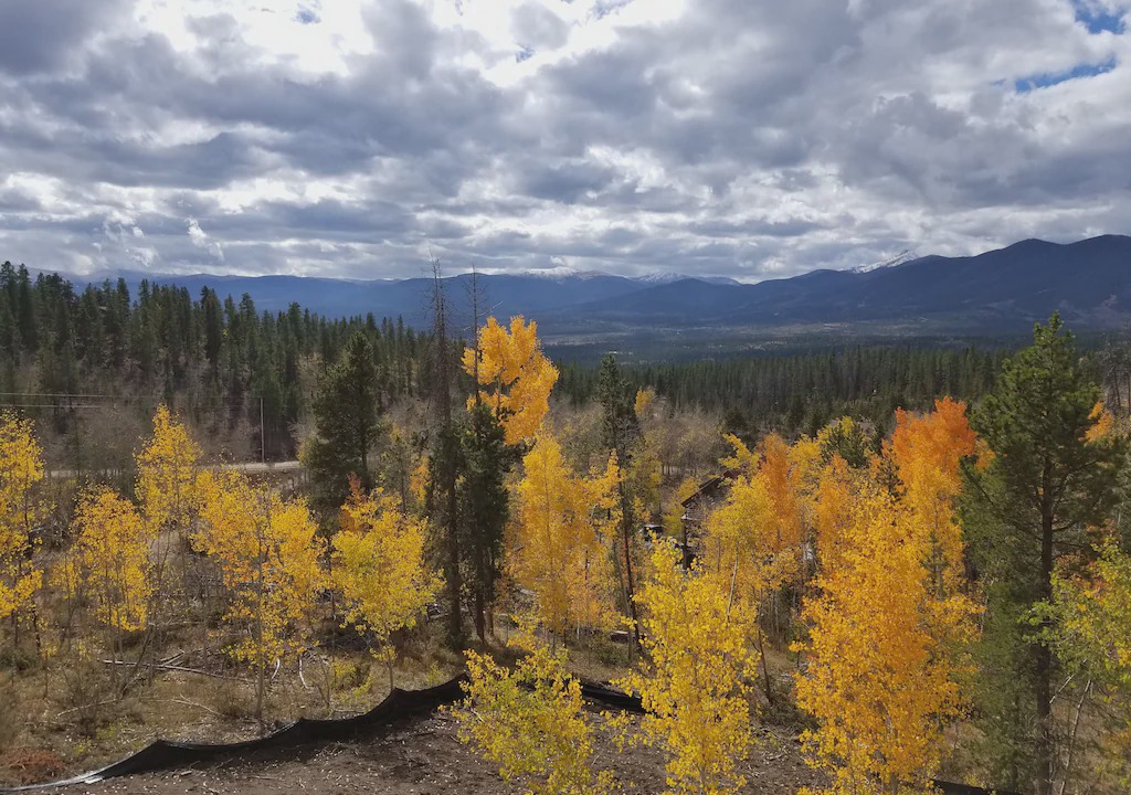 Photo of Others in Winter Park Highlands