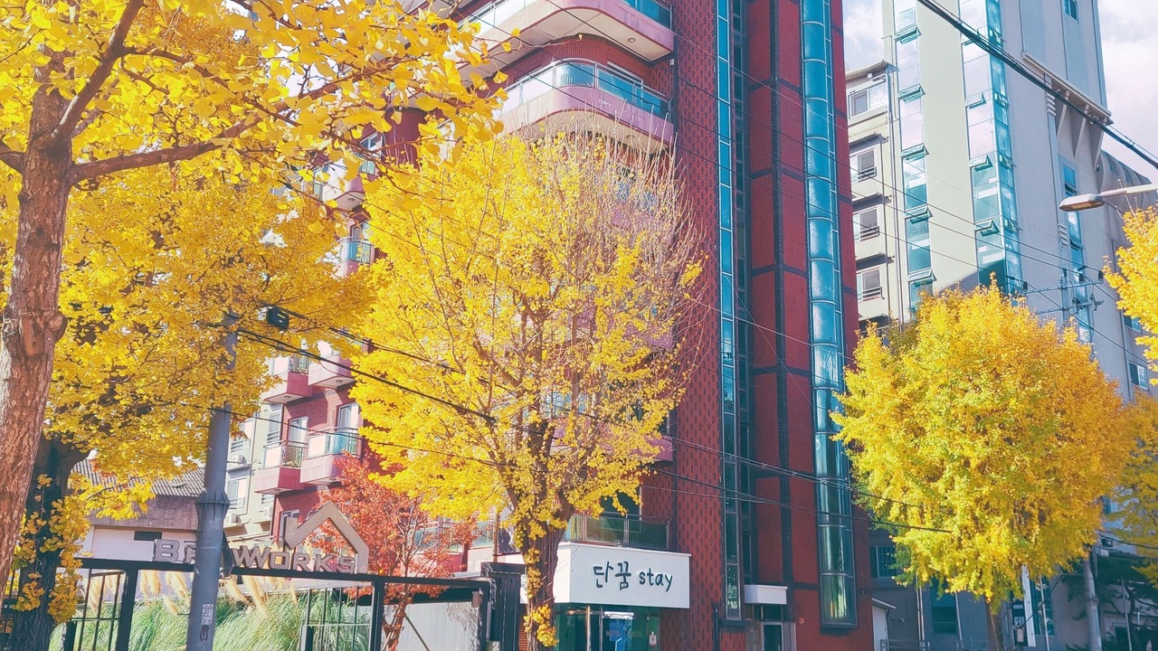 Photo of Outdoor in Suncheon