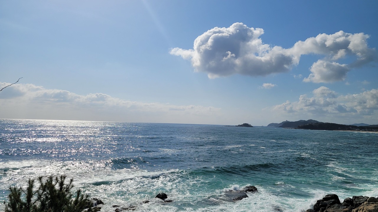 Photo of Others in Sokcho
