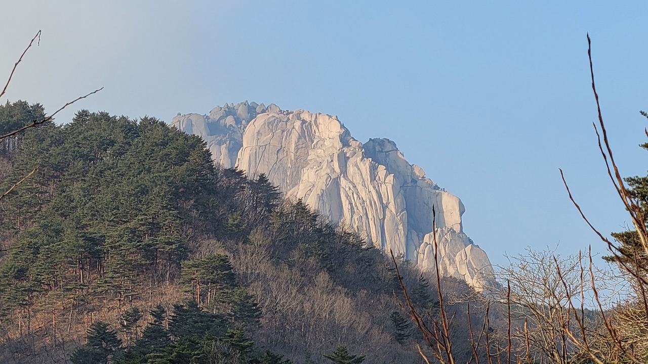 Photo of Others in Sokcho