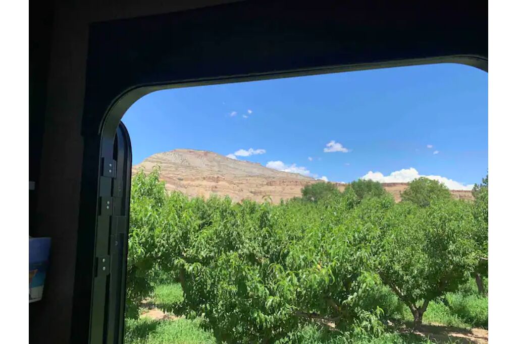 Photo of Others in Palisade