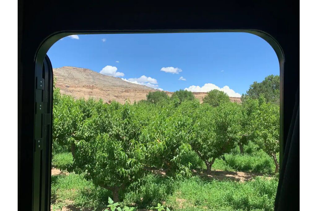 Photo of Others in Palisade