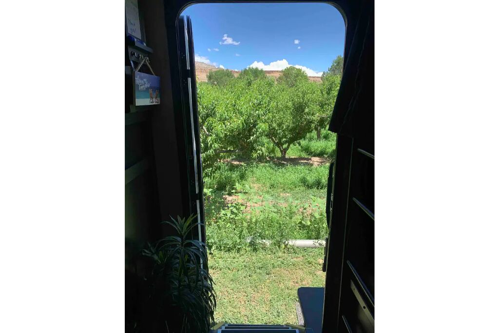Photo of Others in Palisade