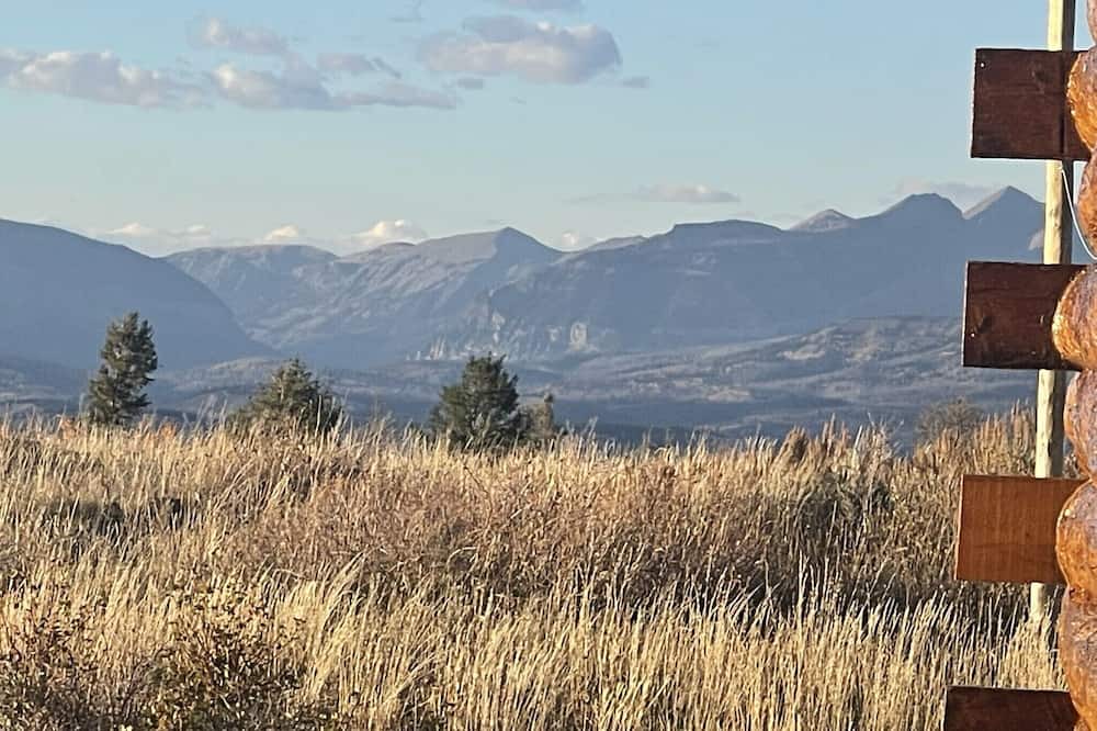 Photo of Others in Game Creek