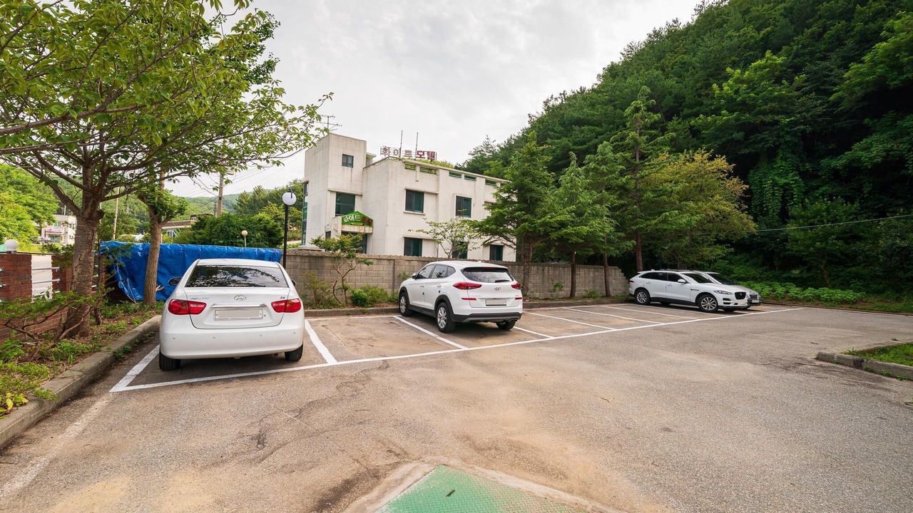 Photo of Others in Gangneung