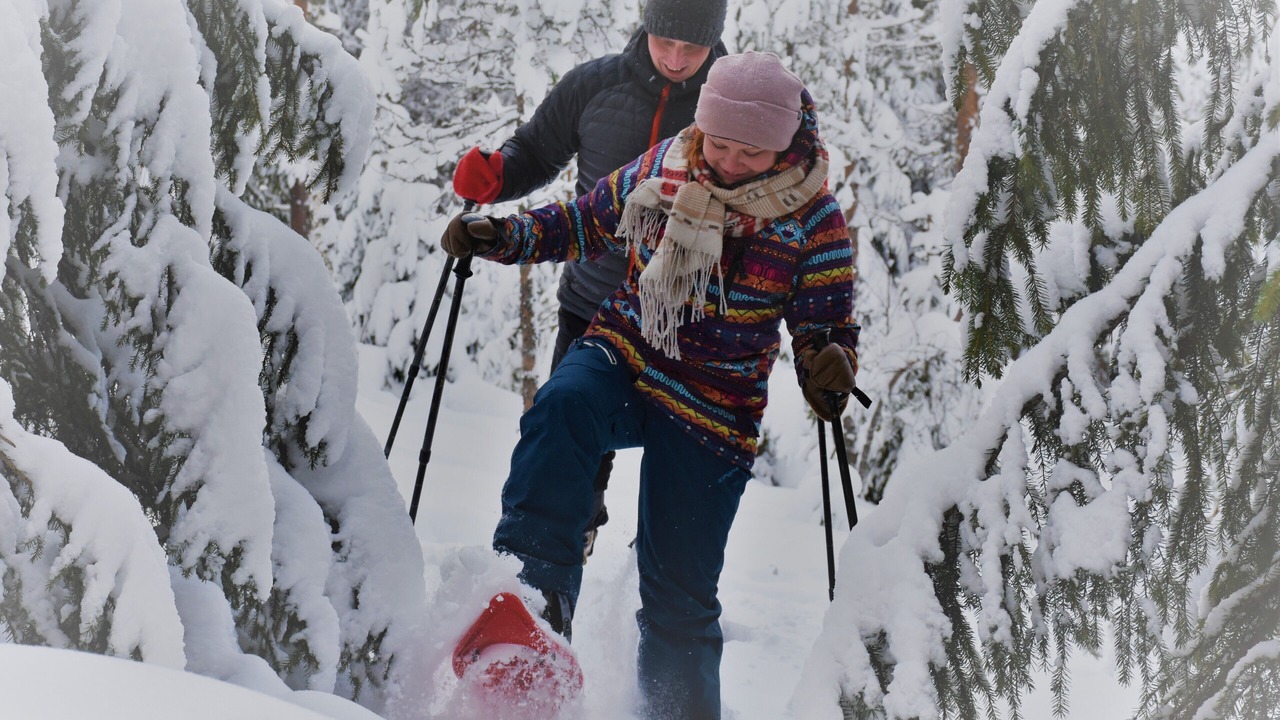 Photo of Others in Kinnula