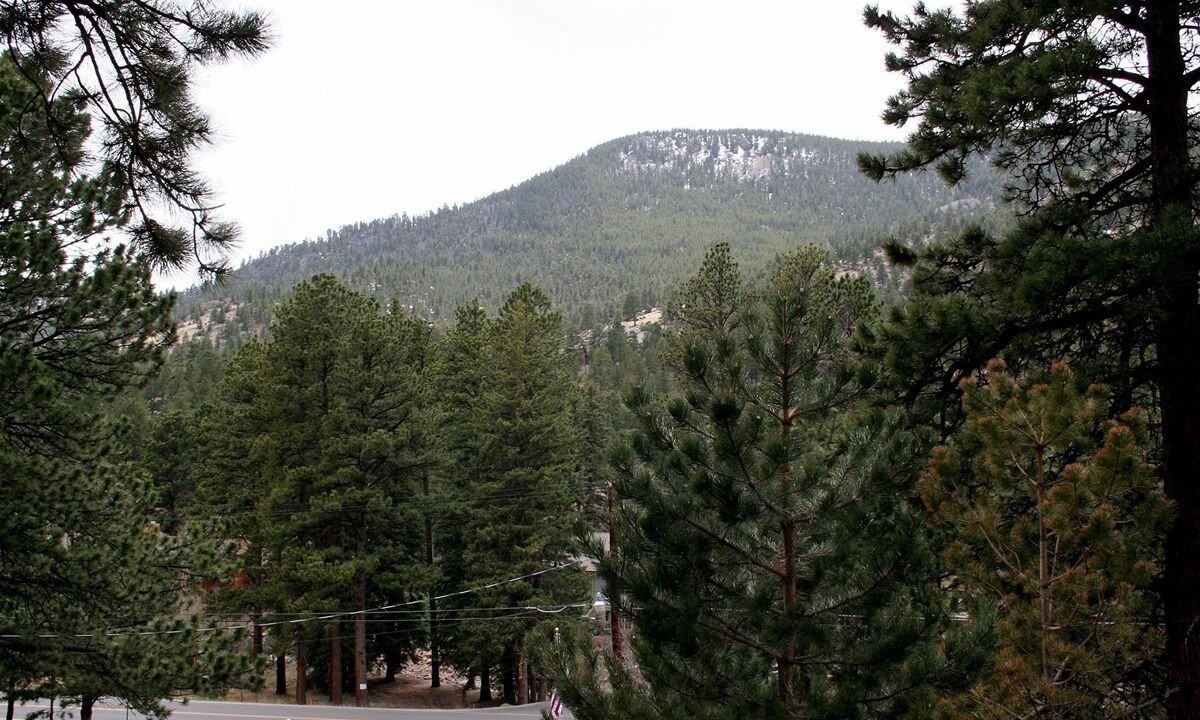 Photo of Others in Estes Park