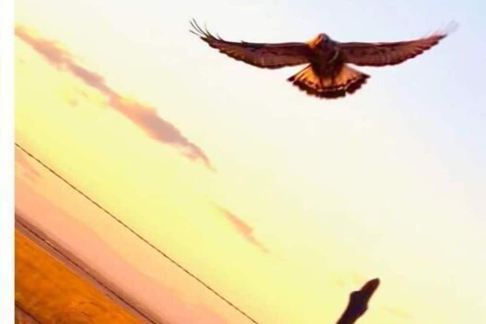 Photo of Others in Crowley County
