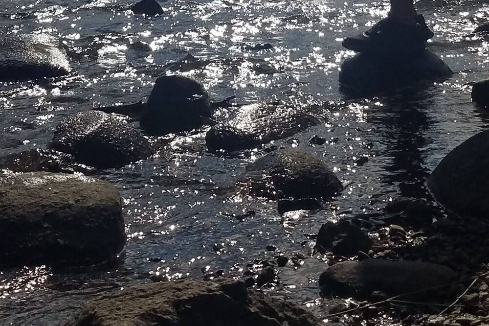 Photo of Others in Summit Cove