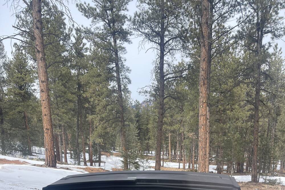 Photo of Outdoor in Pine