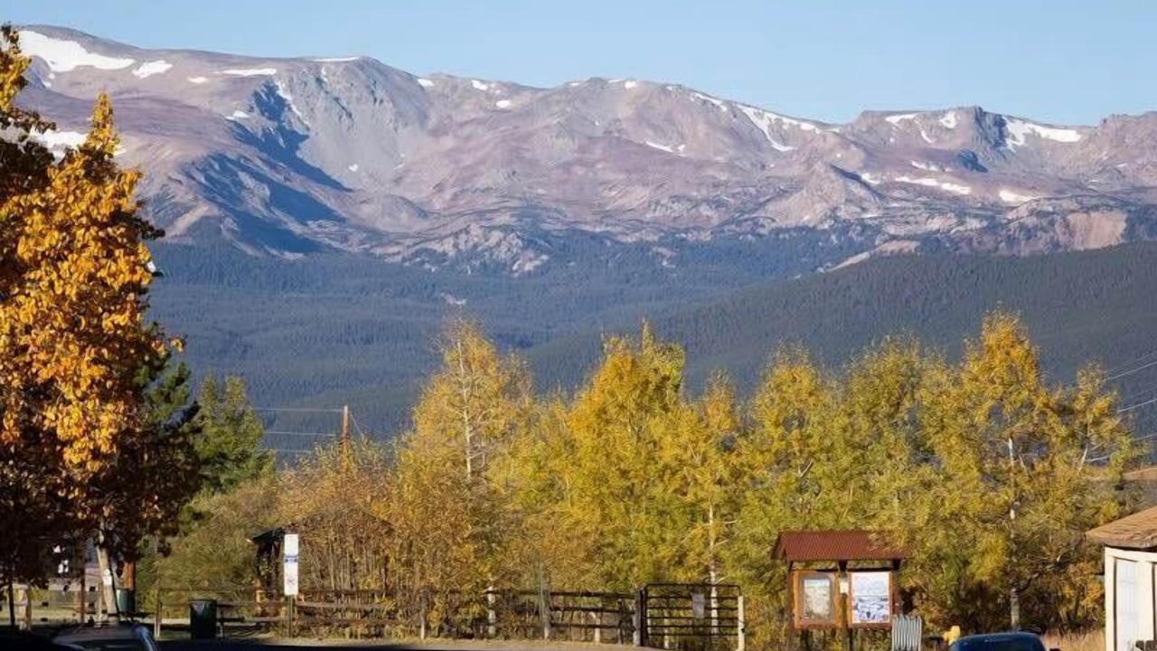 Photo of Others in Leadville North