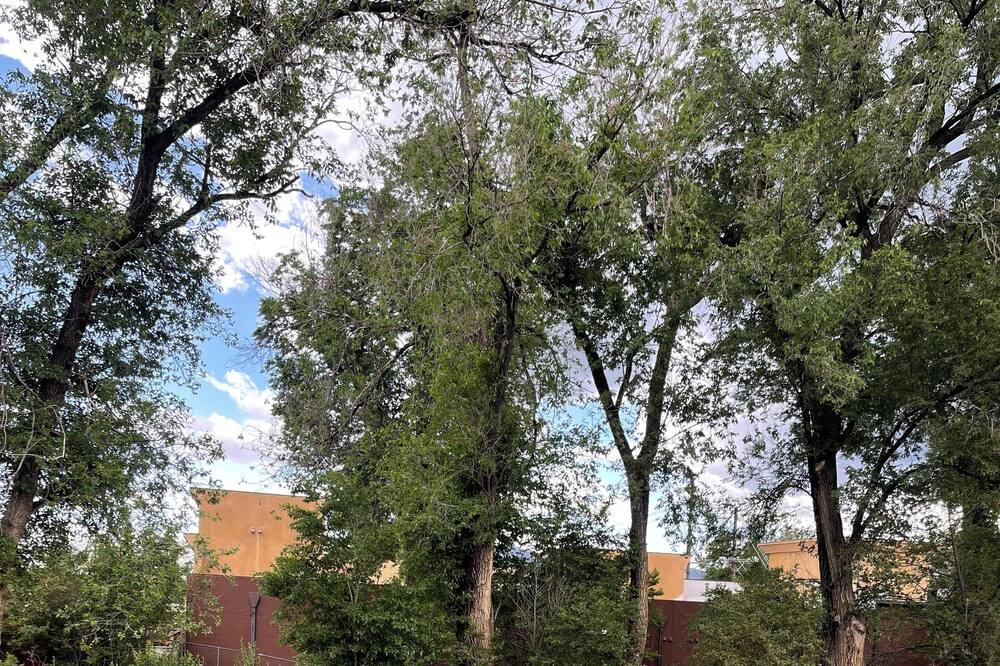 Photo of Outdoor in Old North End