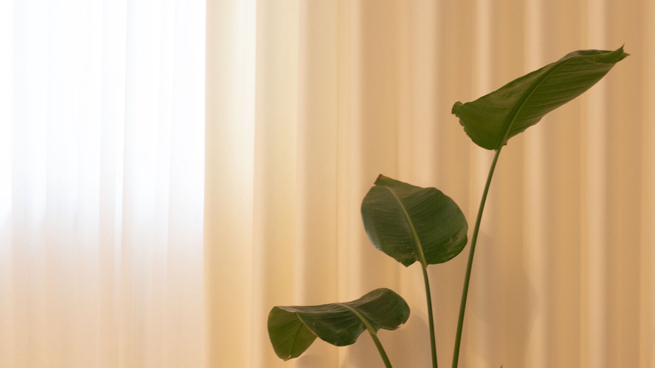 Photo of Bedroom in Chuncheon
