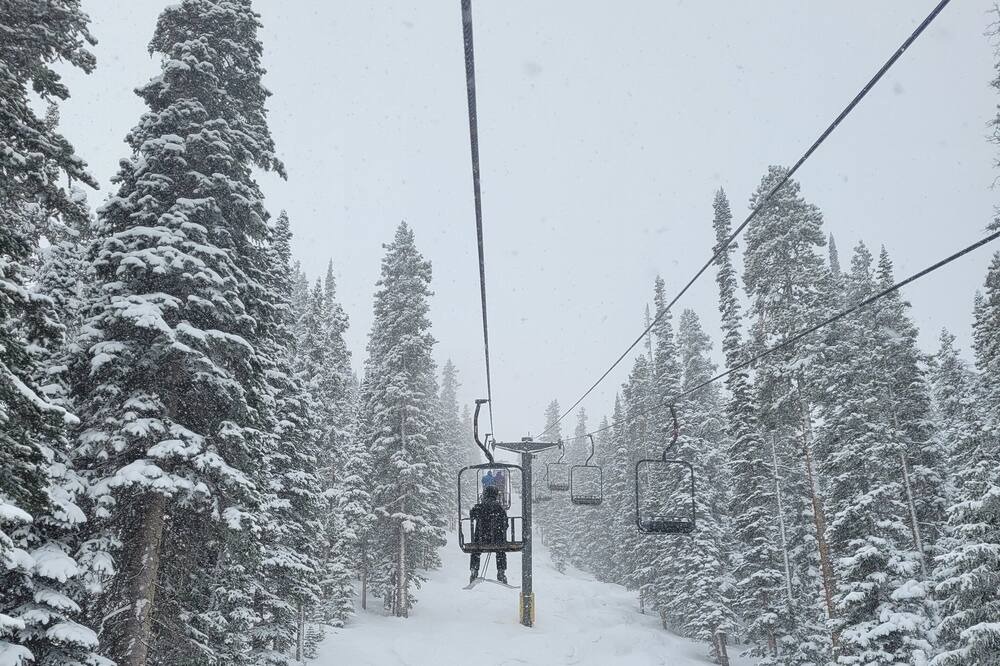Photo of Others in Fraser