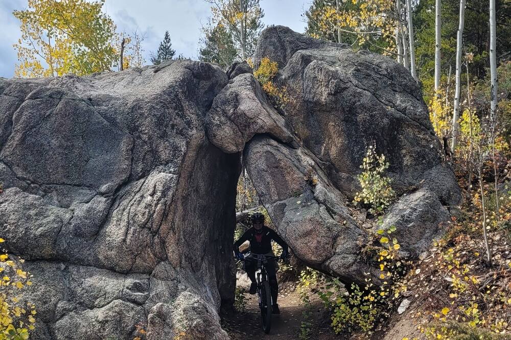 Photo of Others in Fraser