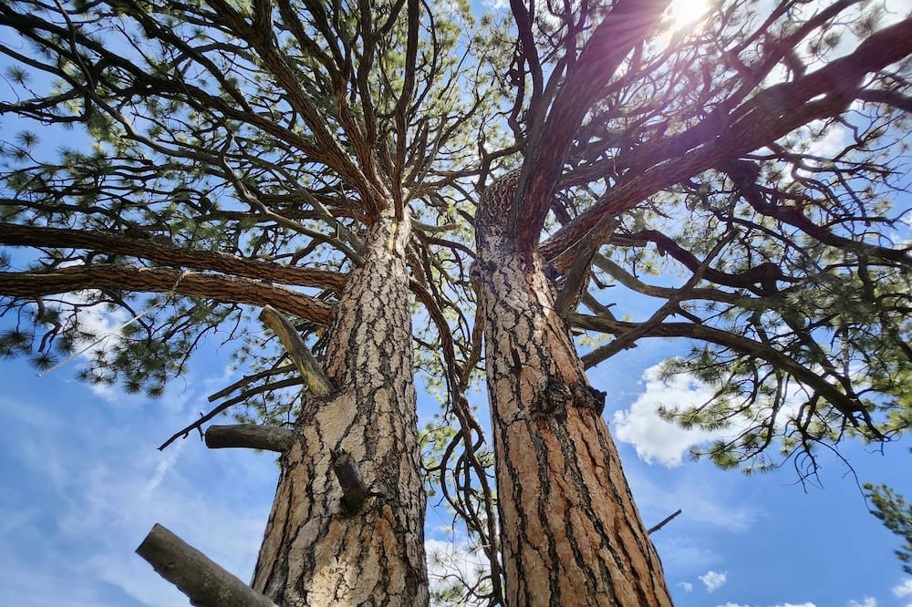 Photo of Outdoor in La Sal
