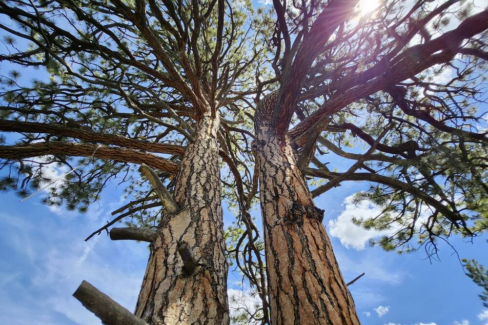Photo of Others in La Sal