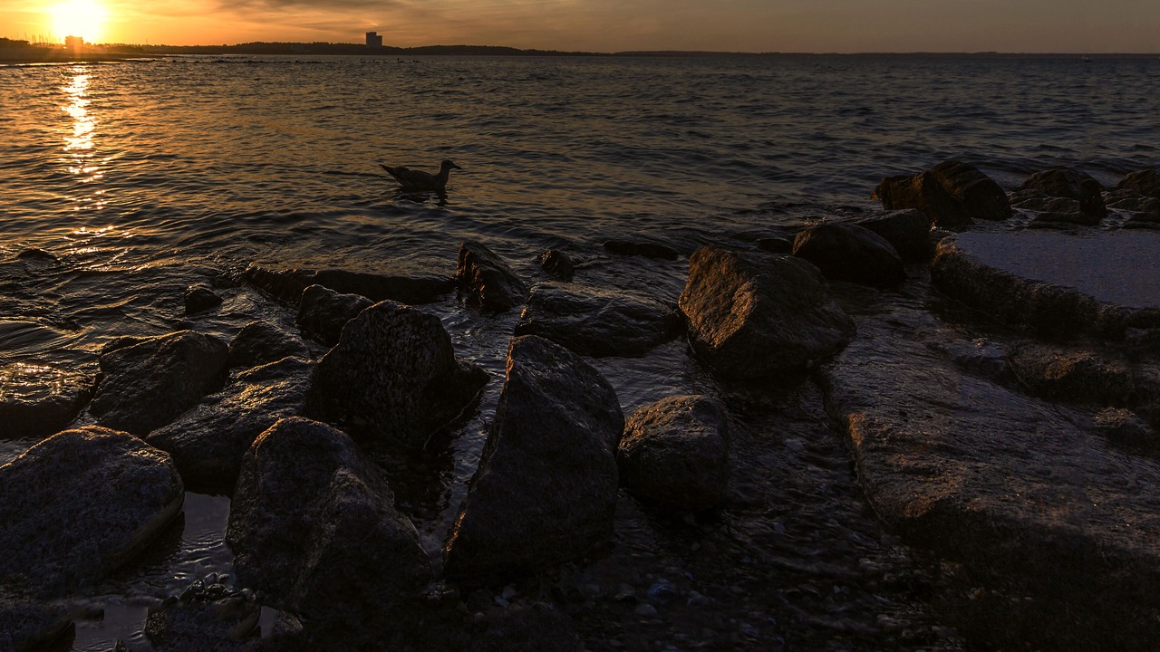 Photo of Others in Niendorf