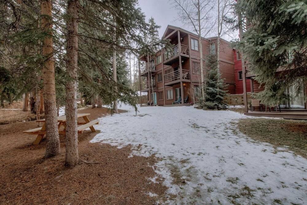 Photo of Outdoor in Four O'Clock