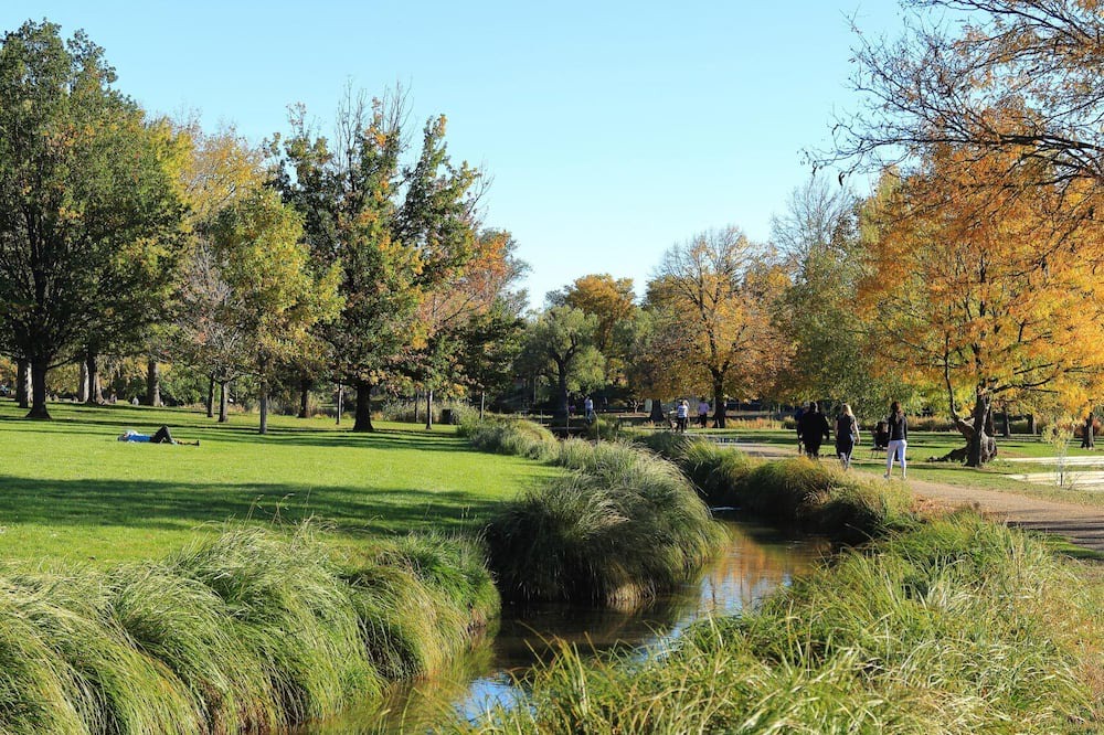 Photo of Others in Washington Park