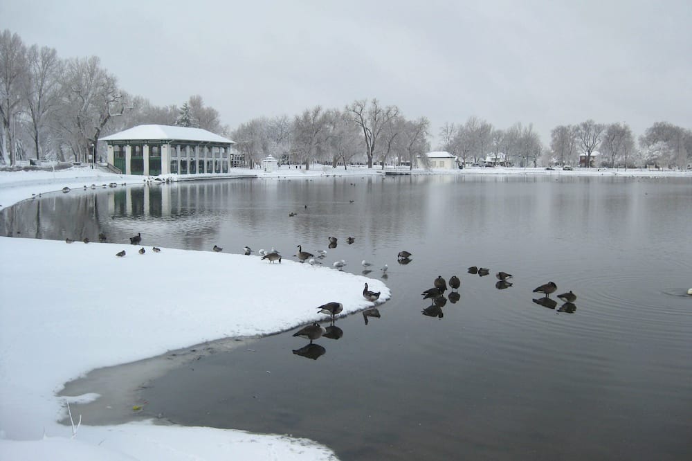 Photo of Others in Washington Park