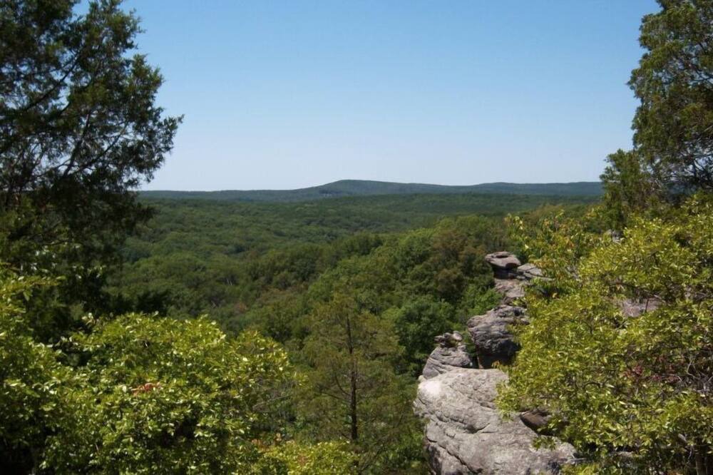 Photo of Others in Shawnee