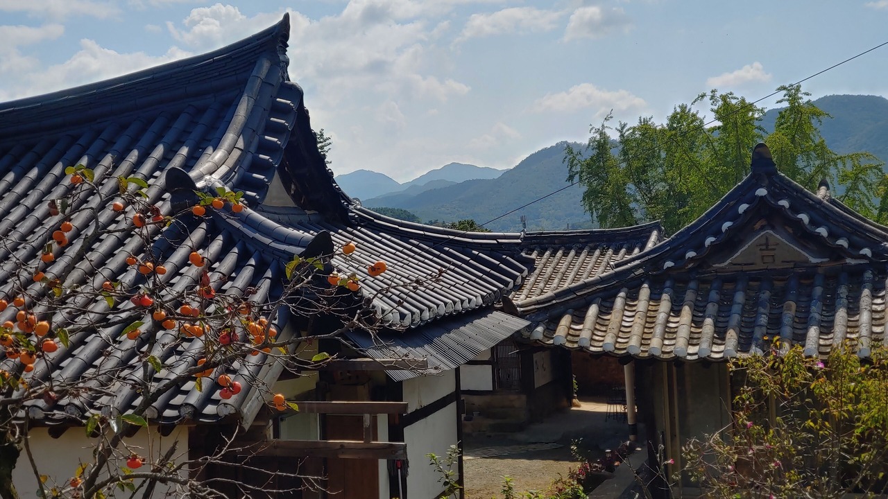 Photo of Outdoor in Toero