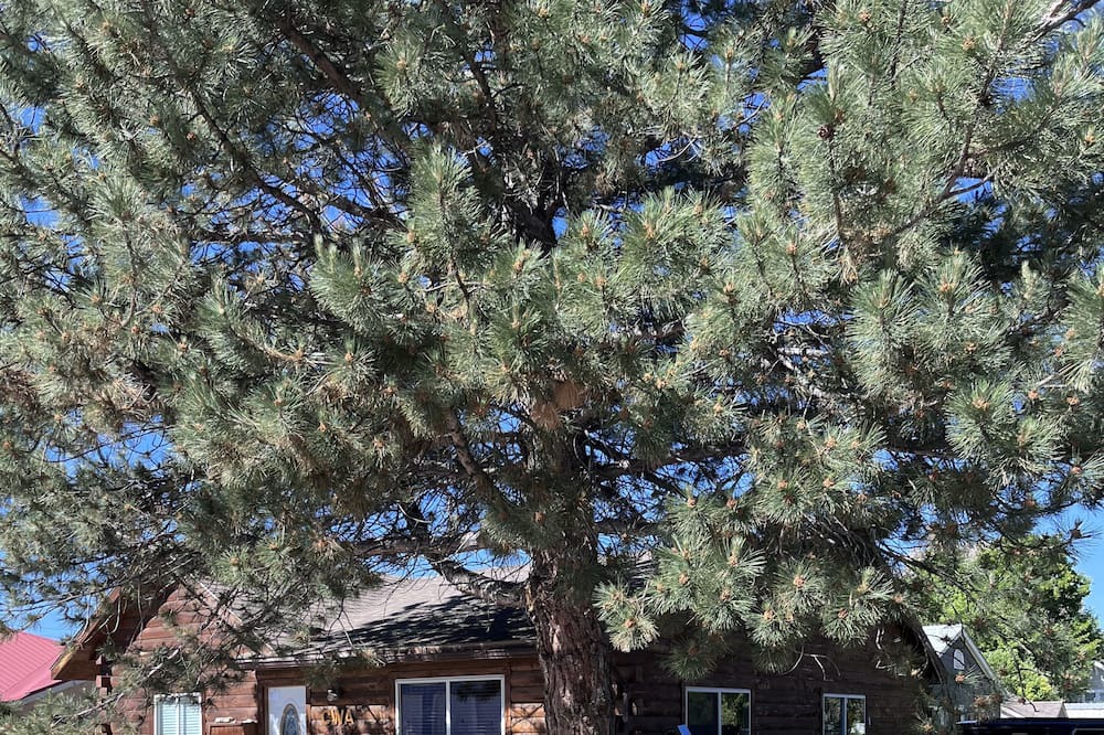 Photo of Outdoor in Meeker