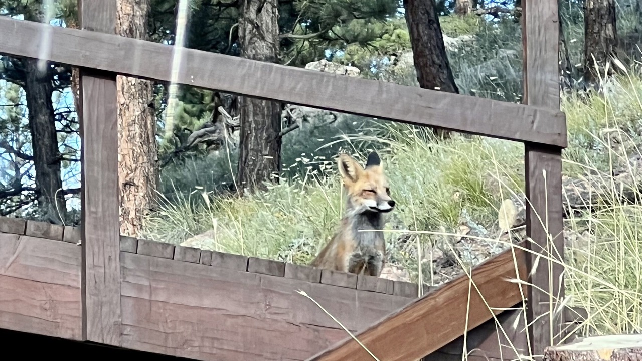 Photo of Outdoor in Boulder