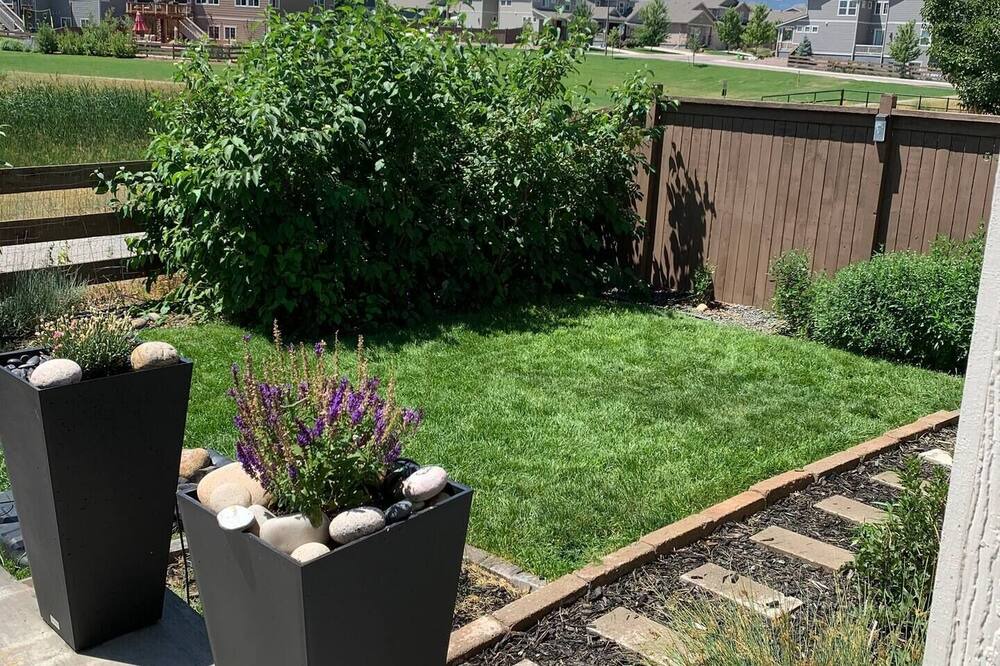 Photo of Outdoor in Golden