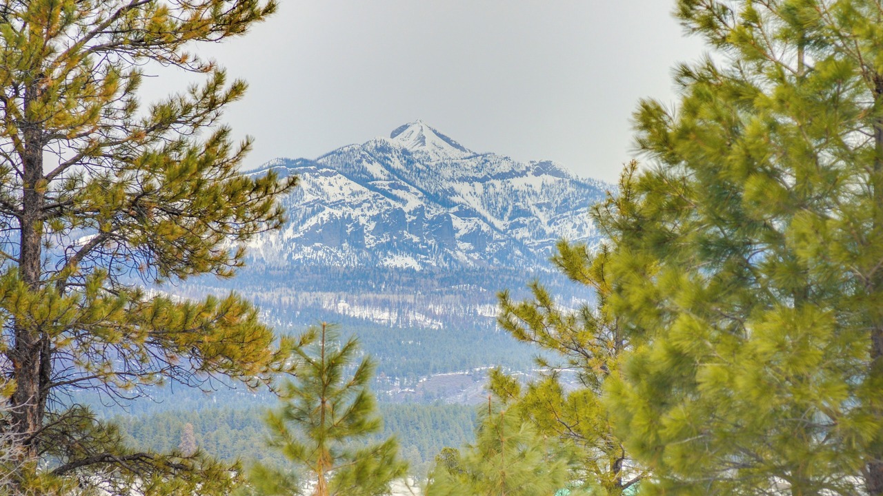 Photo of Others in Pagosa Springs
