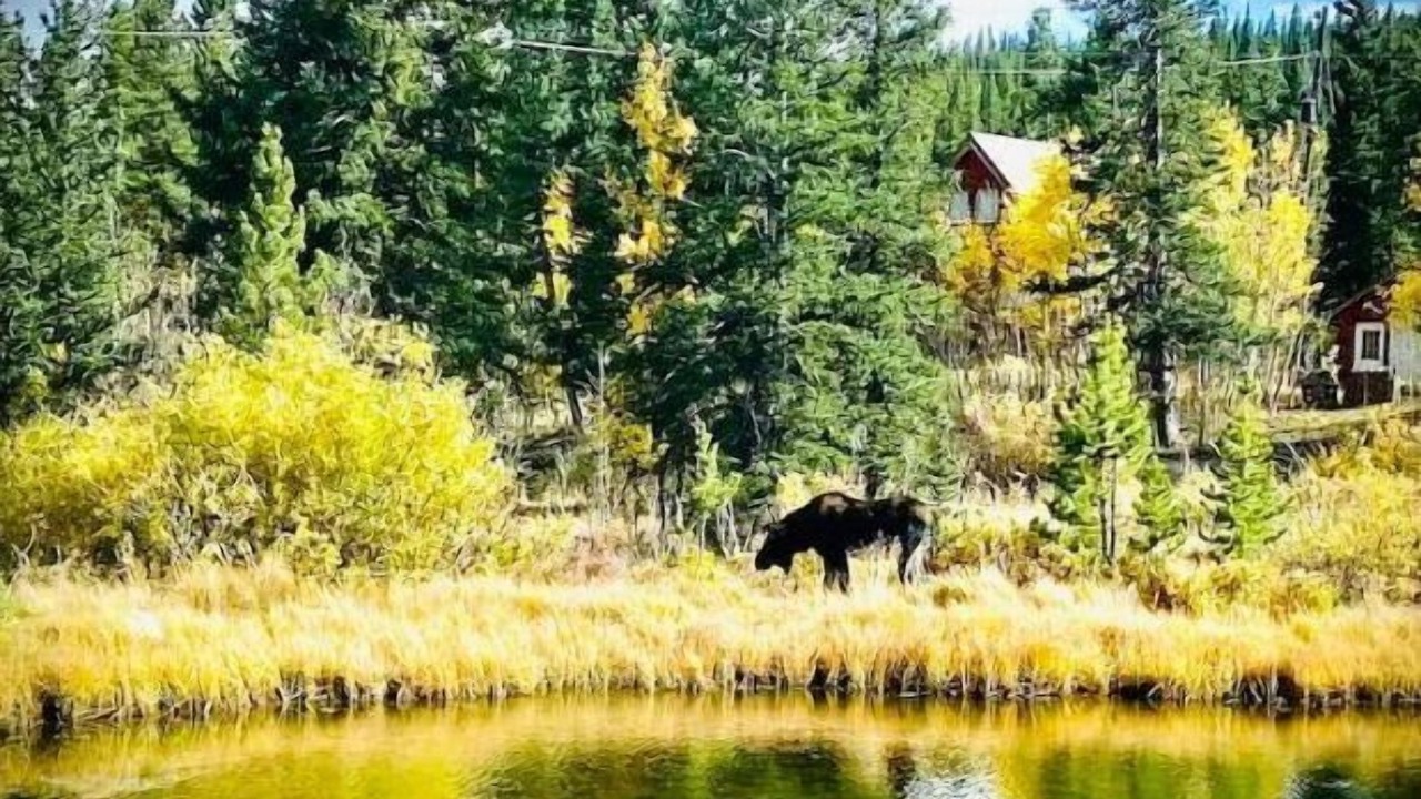 Photo of Outdoor in Alma