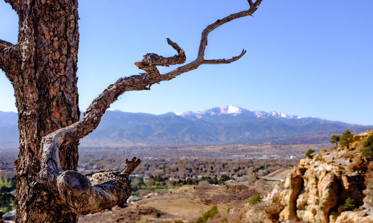 Photo of Outdoor in East Colorado Springs