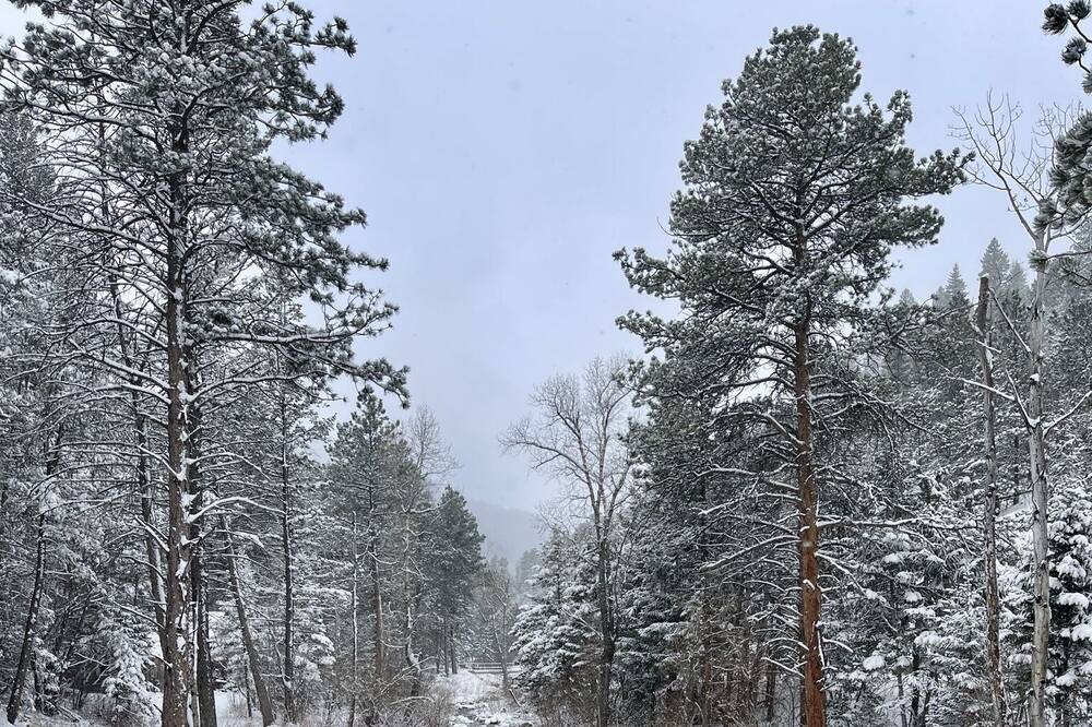 Photo of Outdoor in Jamestown