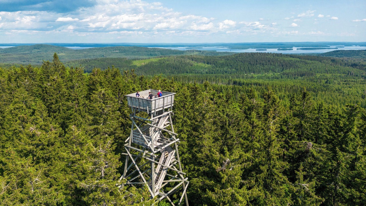 Photo of Outdoor in Koli