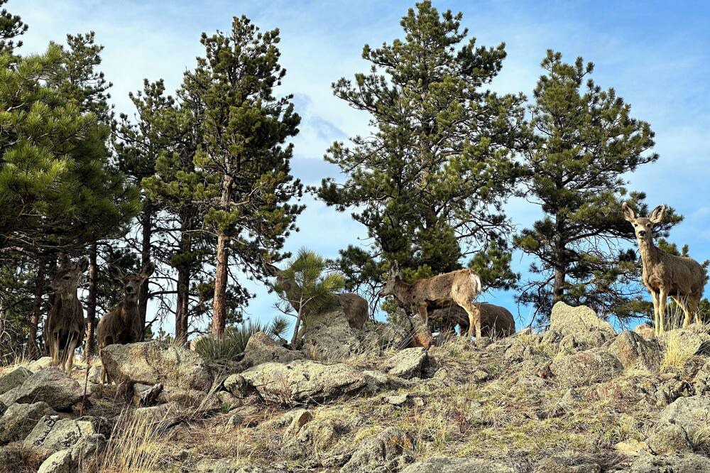 Photo of Others in Boulder